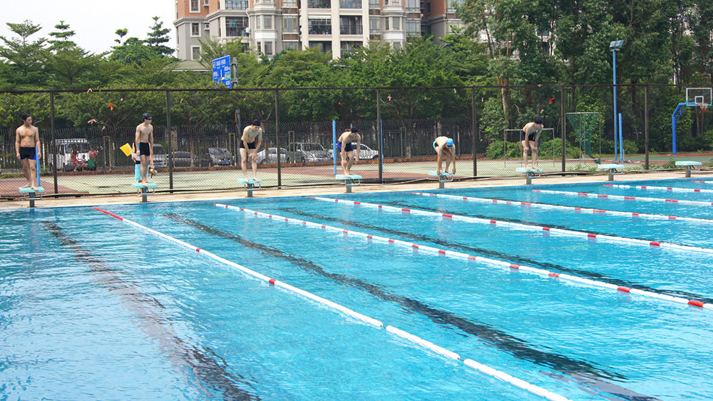 2016游泳比赛